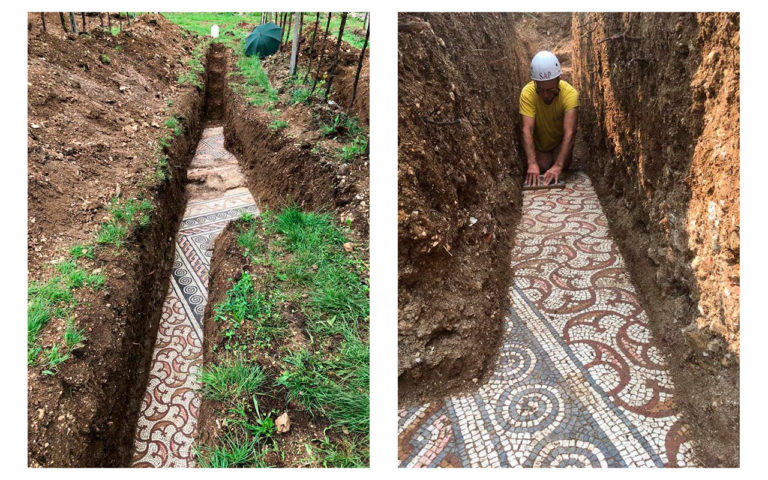 Descubren piso de mosaico romano de varios siglos en un viñedo, en Italia