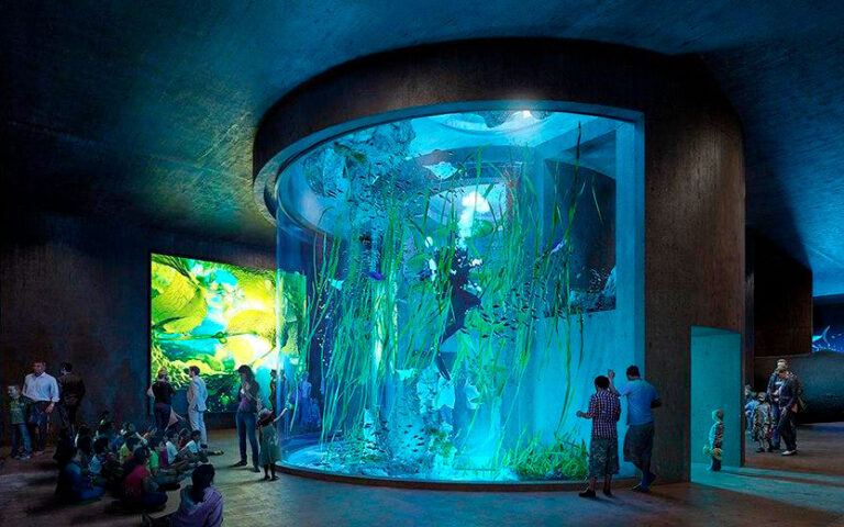Mazatlán tendrá el acuario más grande de Latinoamérica