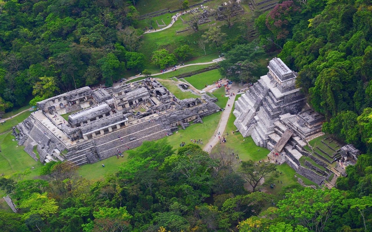Lo que debes saber sobre la construcción del Tren Maya