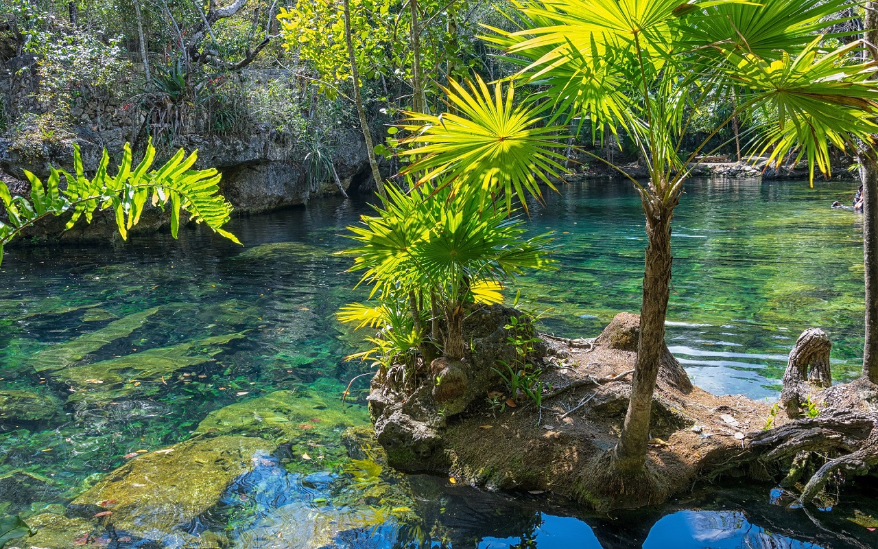 Turismo De Naturaleza, La Nueva Tendencia En Viajes - México Ruta Mágica