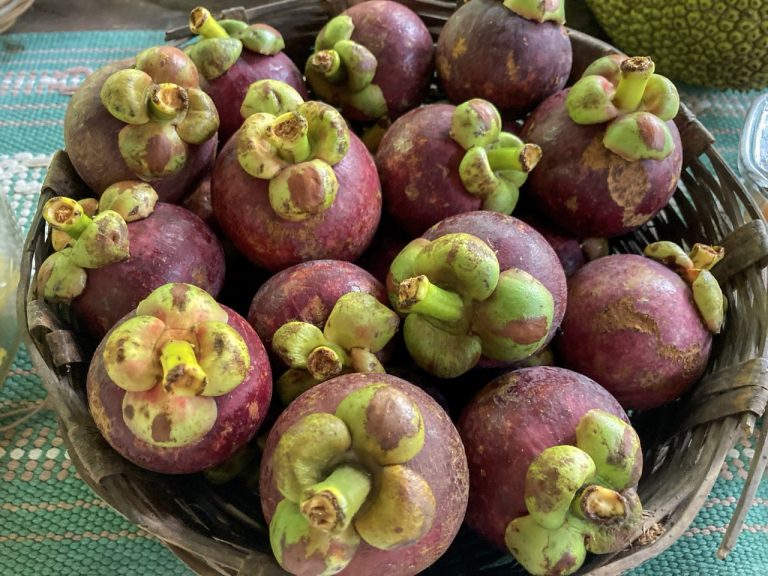 Frutas exóticas que no conocías y puedes encontrar en México