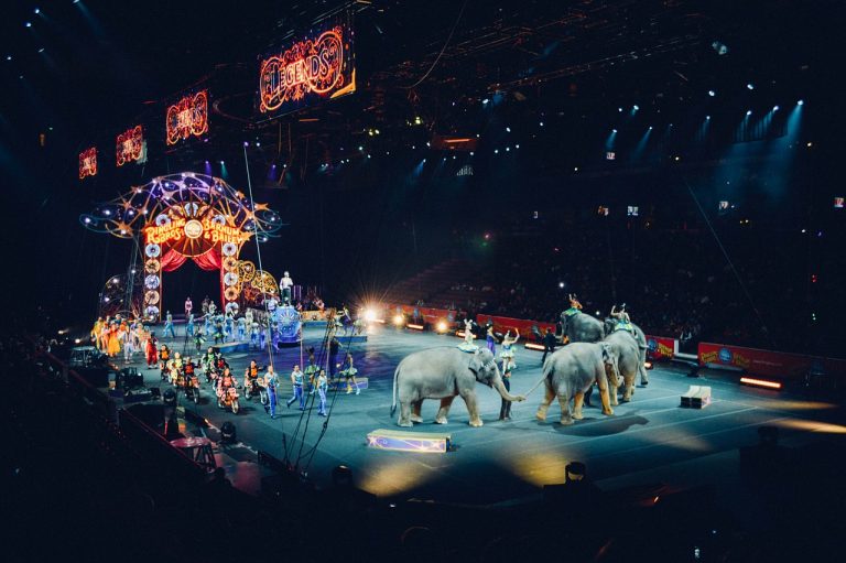 Francia prohibirá animales en circos y parques acuáticos 