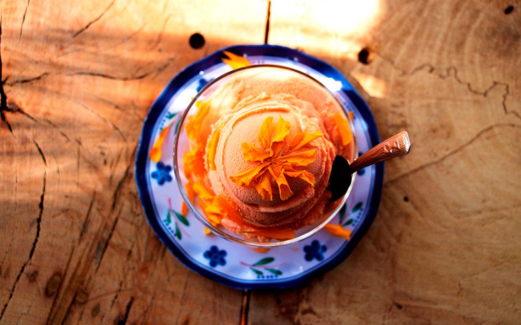 helado-flor-de-cempasuchil-ximitl