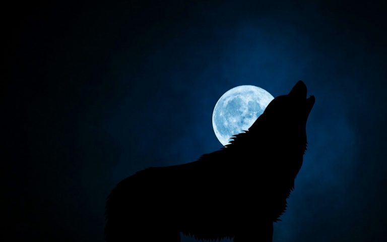 La Luna Azul iluminará la noche del Halloween 2020