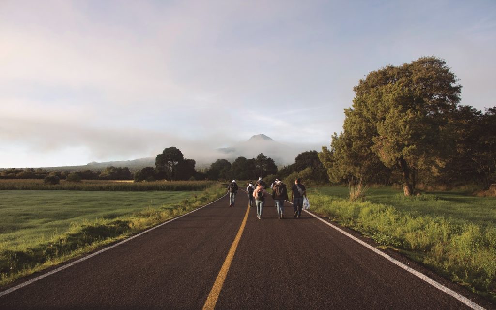 recoleccion-de-hongos-en-las-faldas-de-la-malinche