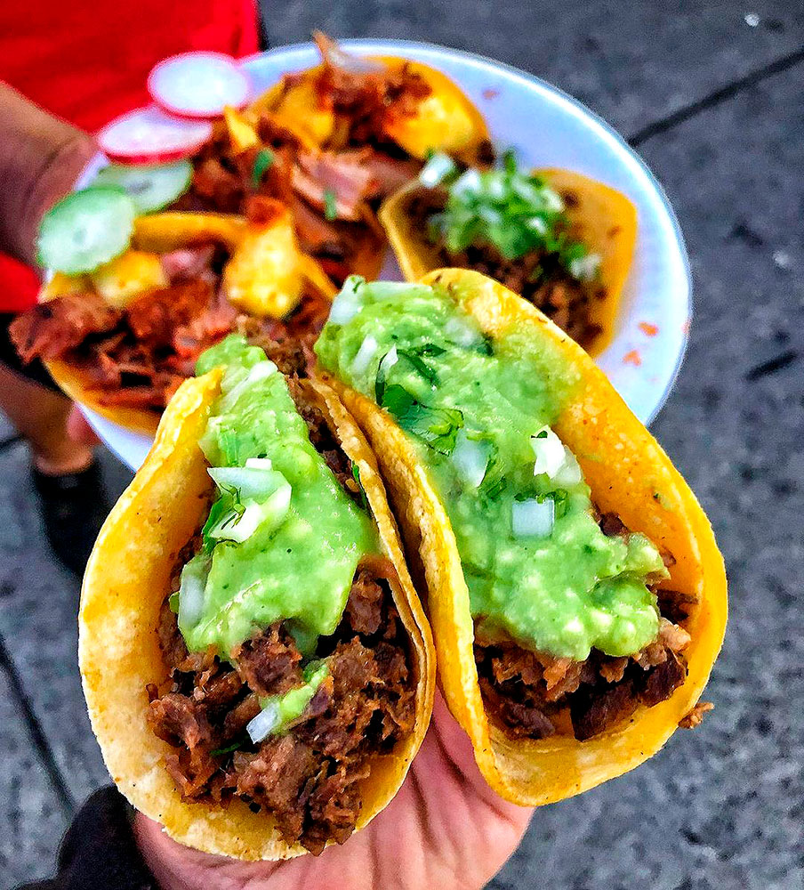 tacos-taquitos-antojitos
