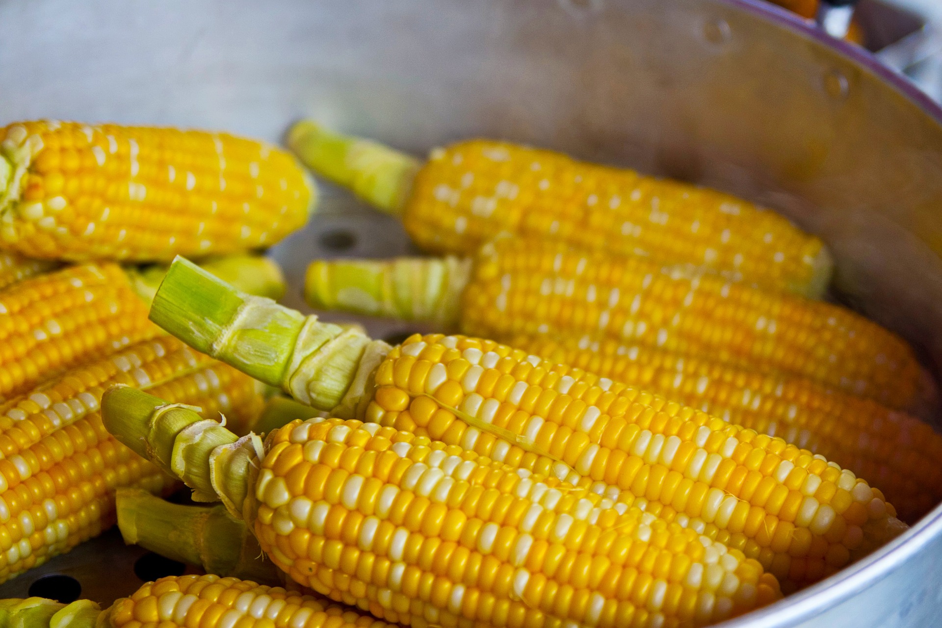 Origen de las palomitas de maíz
