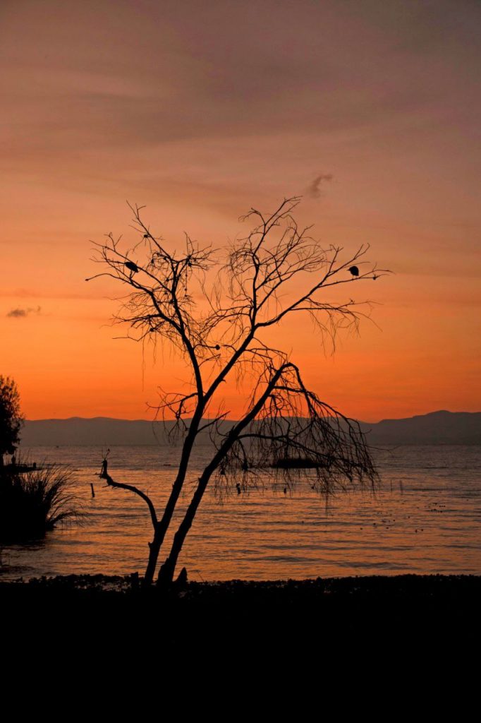 Ajijic establecida a orillas del Lago de Chapala