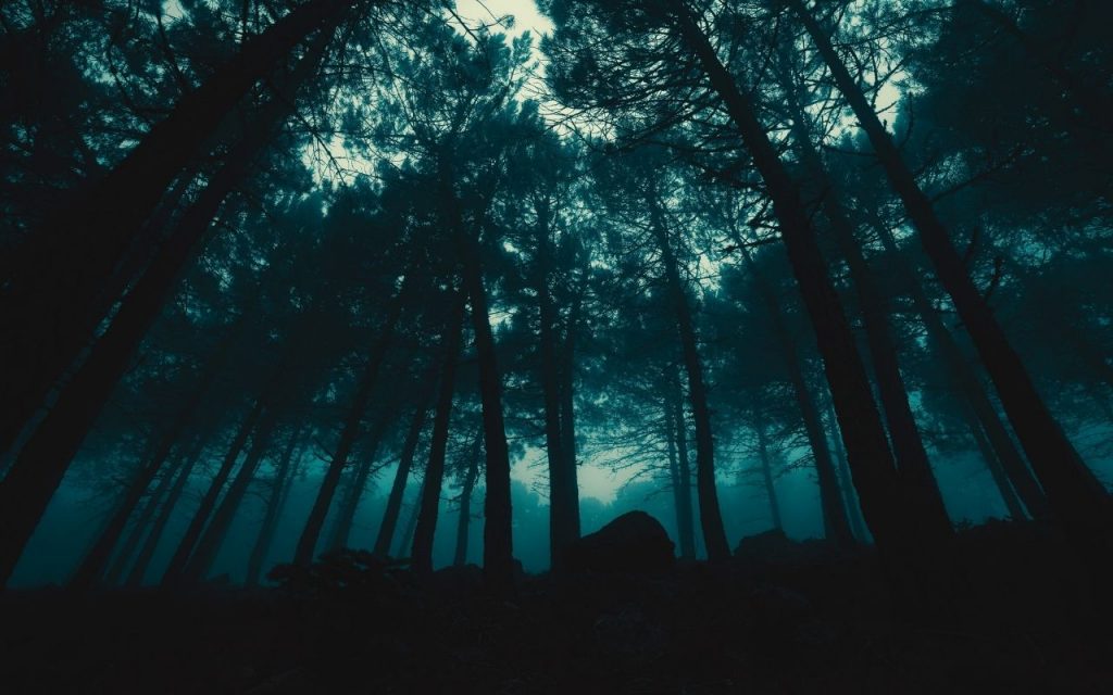 ¿Qué es el turismo negro o tanatoturismo?