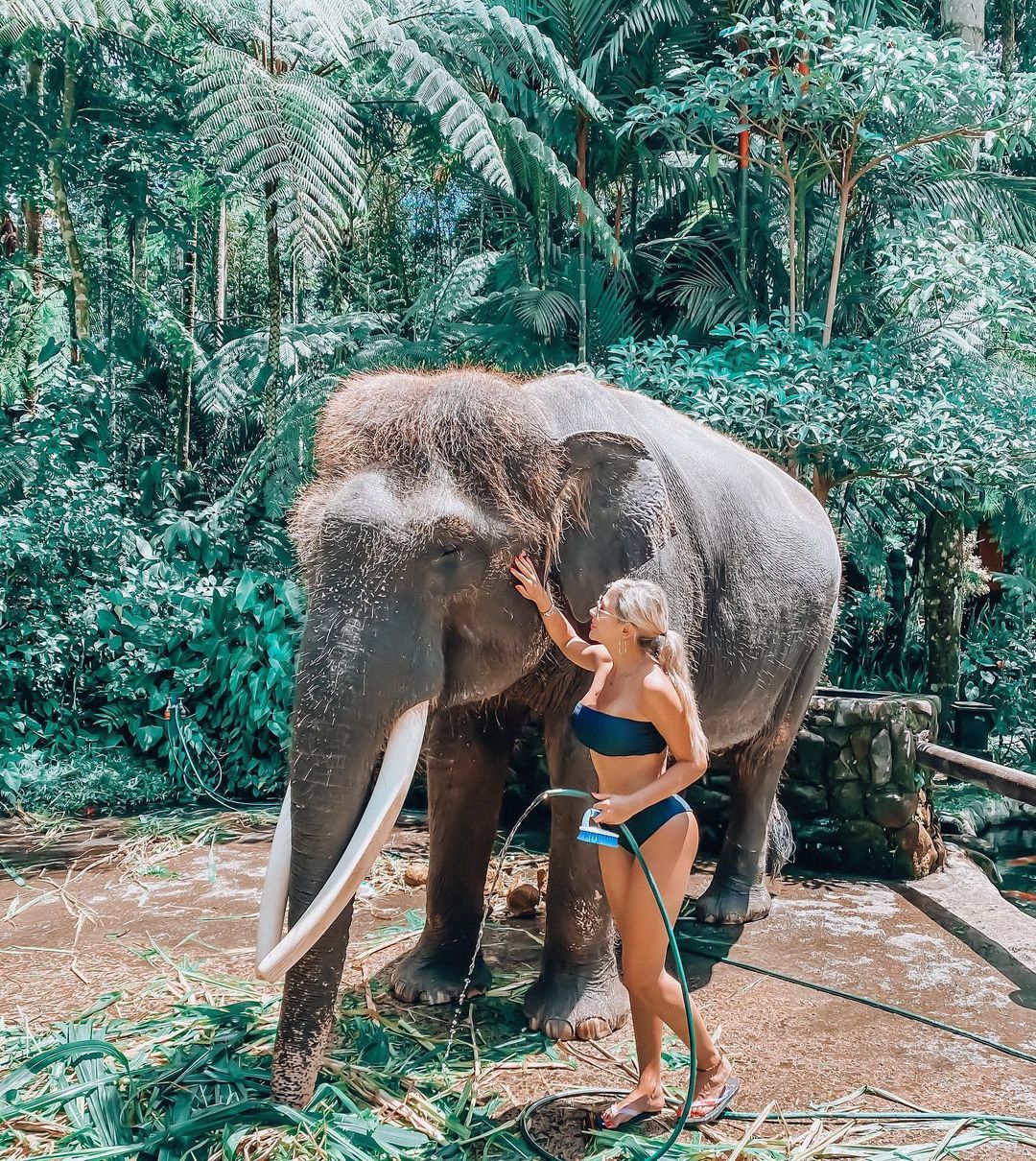 convivir con elefantes en Bali
