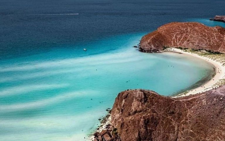 Mar de Cortés, el acuario del mundo: sumérgete en este paraíso marino