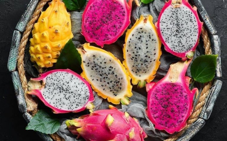Conoce todo sobre la pitaya, un afrodisiaco muy popular