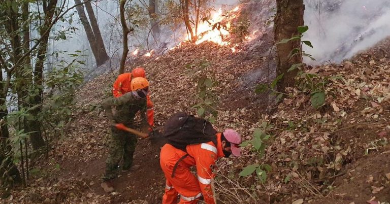 Incendios del Tepozteco arrasan con decenas de hectáreas