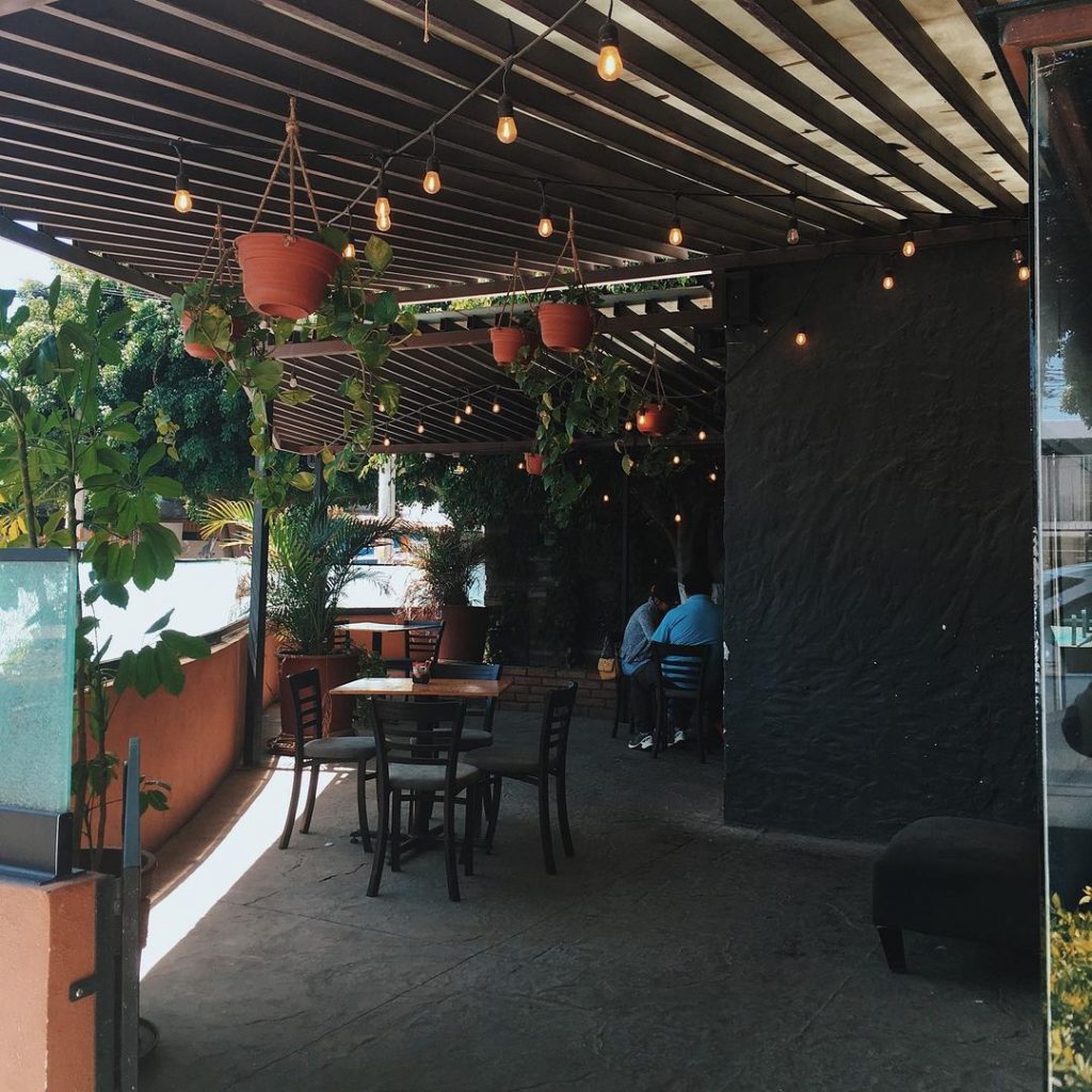 Conoce los mejores lugares pet friendly en Querétaro