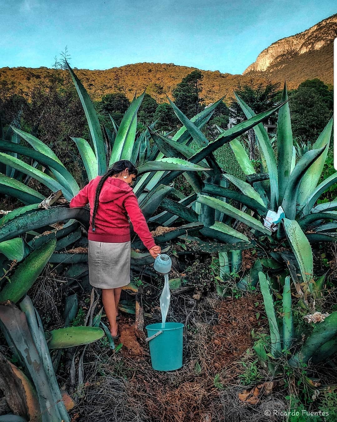 ¡descubre La Ruta Del Pulque En El Estado De Hidalgo