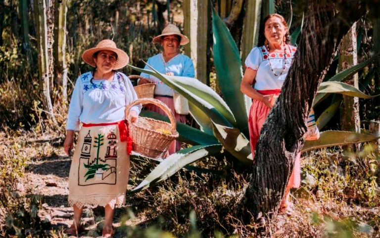 Tlaxcala e Hidalgo, ganadores del concurso gastronómico ¿A qué sabe la Patria?