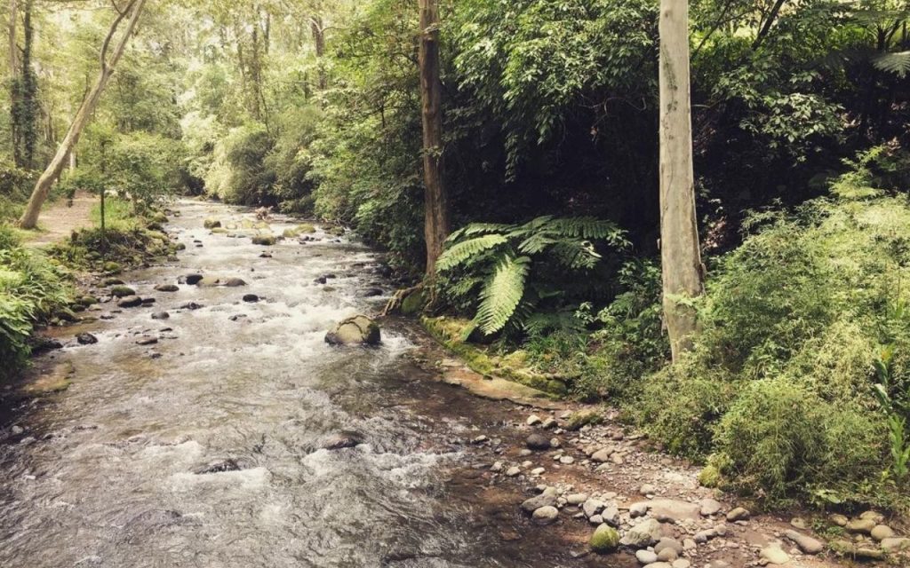 bosques y parques naturales veracruz