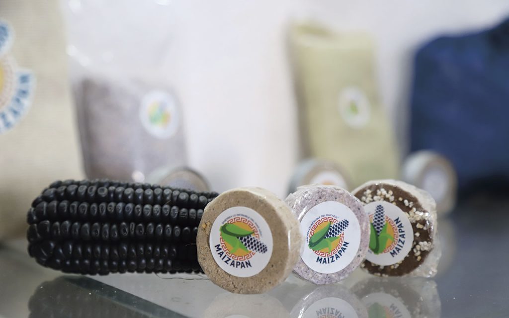 maizapan-tlaxco-tlaxcala