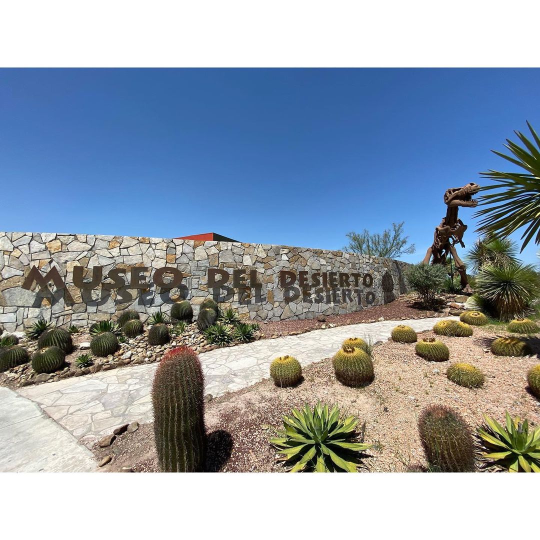 museo del desierto mexico