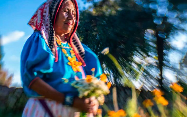 Arte huichol: la cosmovisión del pueblo wixárika