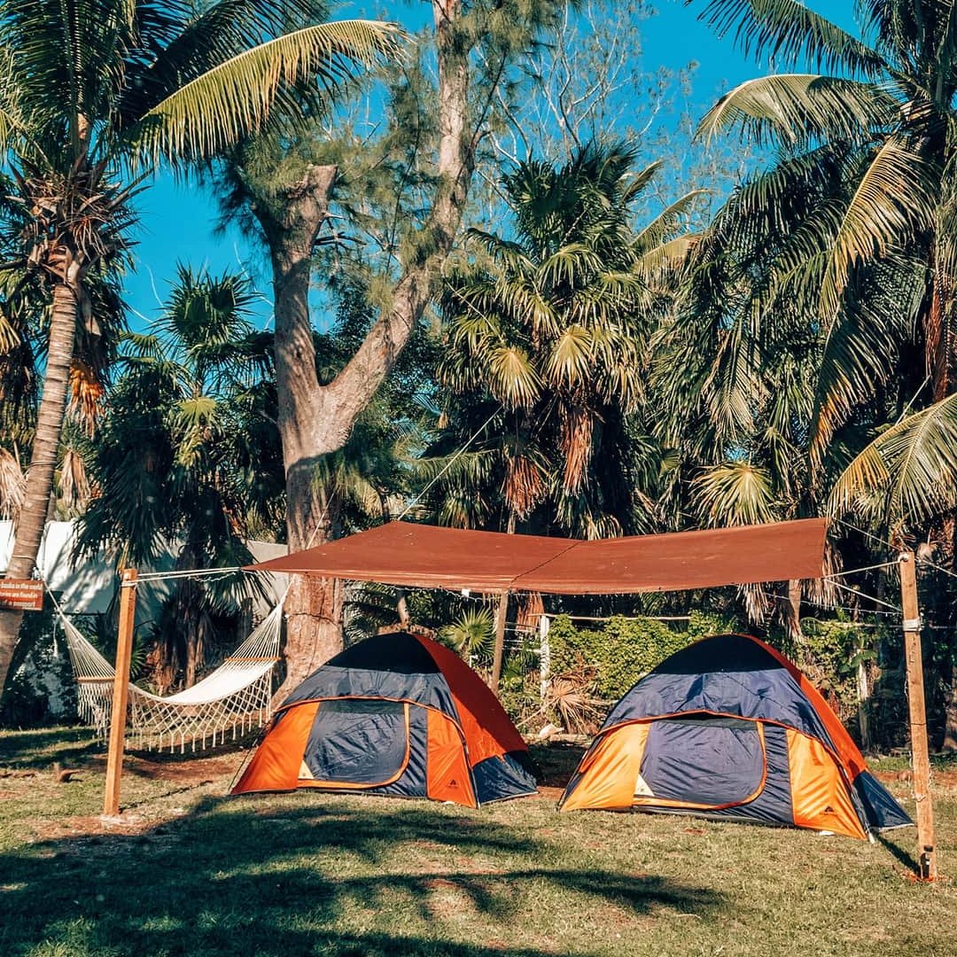 mapache hostel camping-holbox punta mosquito