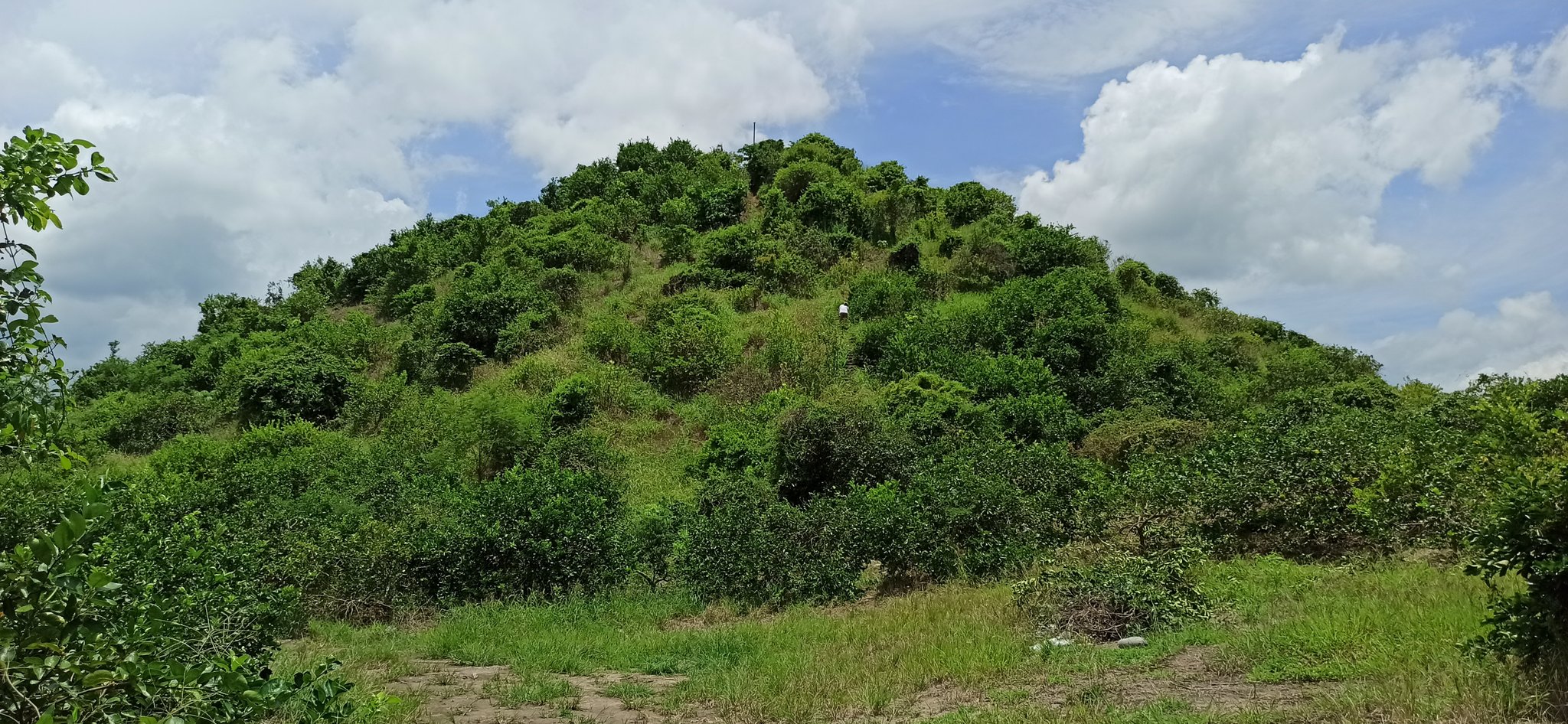 zona arqueológica el pital costa esmeralda