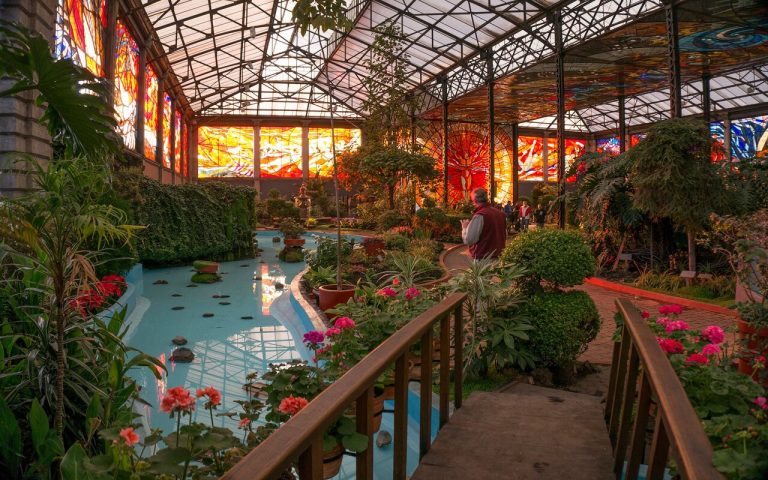¡Visita los increíbles jardines botánicos en México!