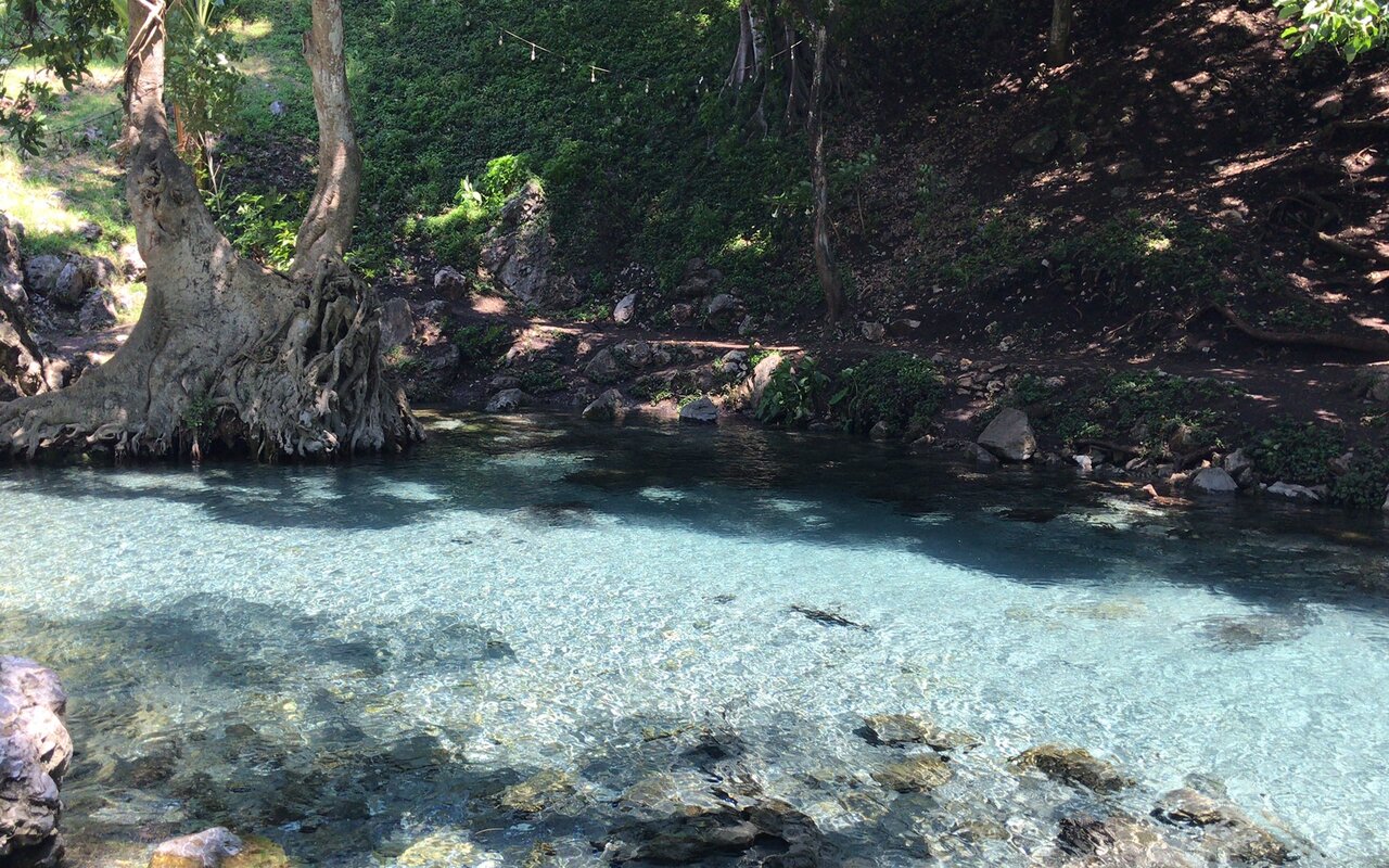 Laguna de Nogales: descubre esta joya natural en Veracruz