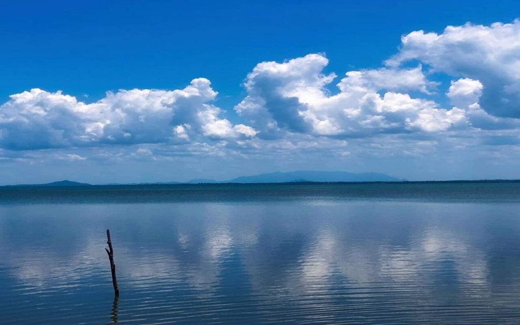 tamiahua laguna playas restaurantes como llegar