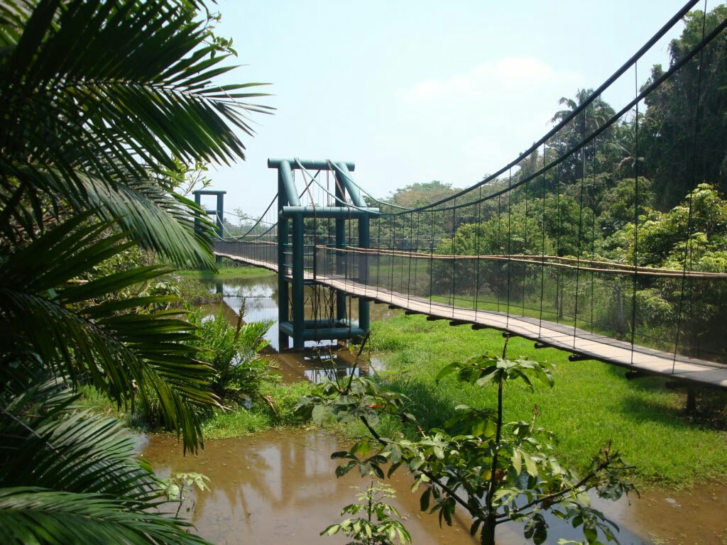 puente colgante yumka villahermosa tabasco zoologico
