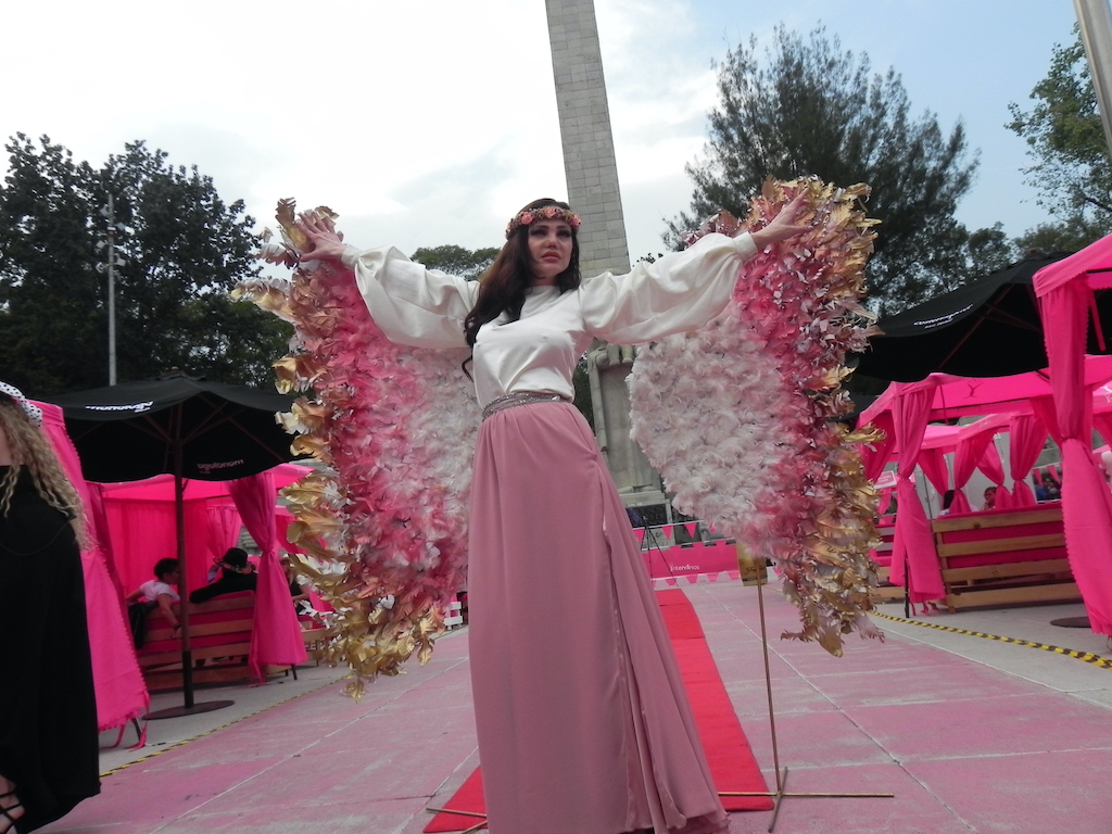 festival intervinos cdmx causa rosa