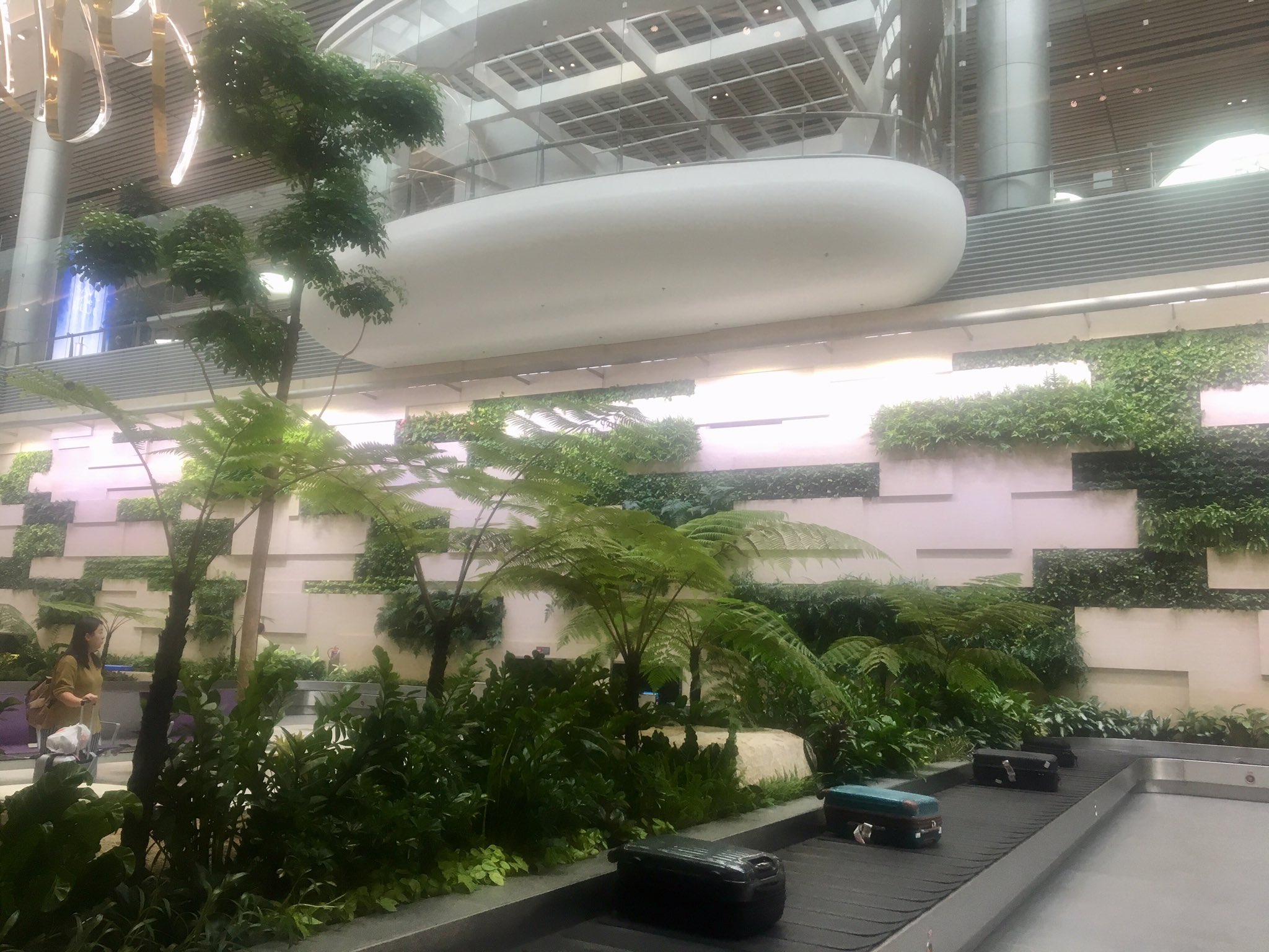 jardines atracciones rain vortex singapur aeropuerto