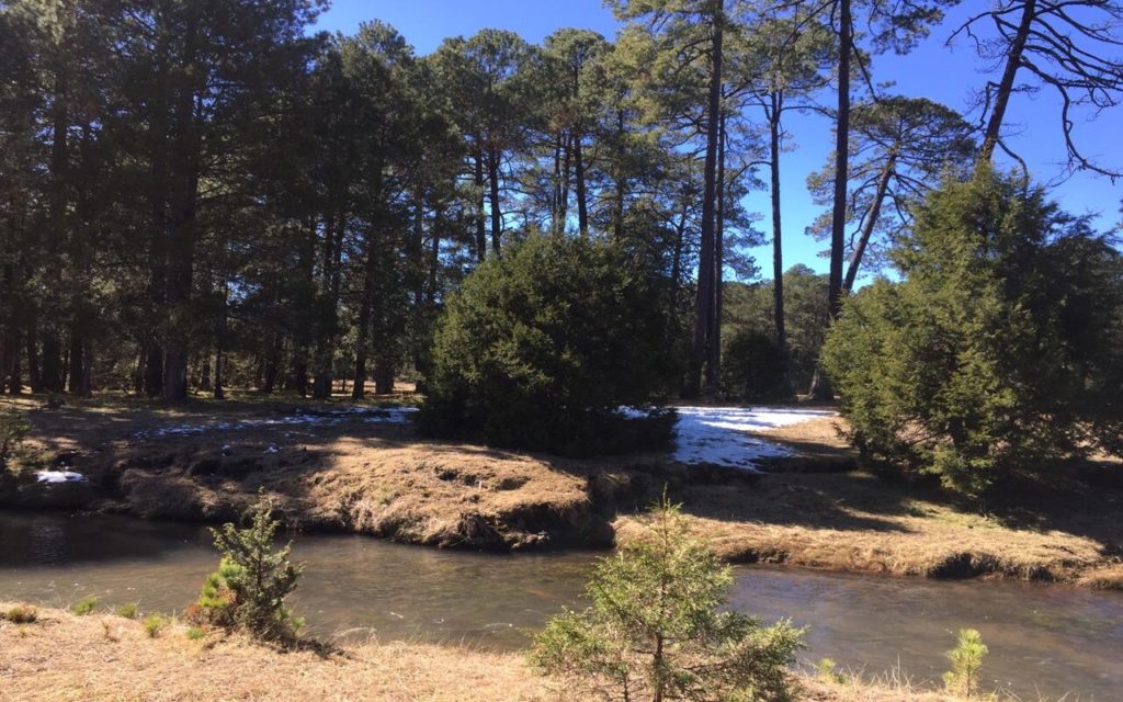 parque mexiquillo durango que hacer cabañas