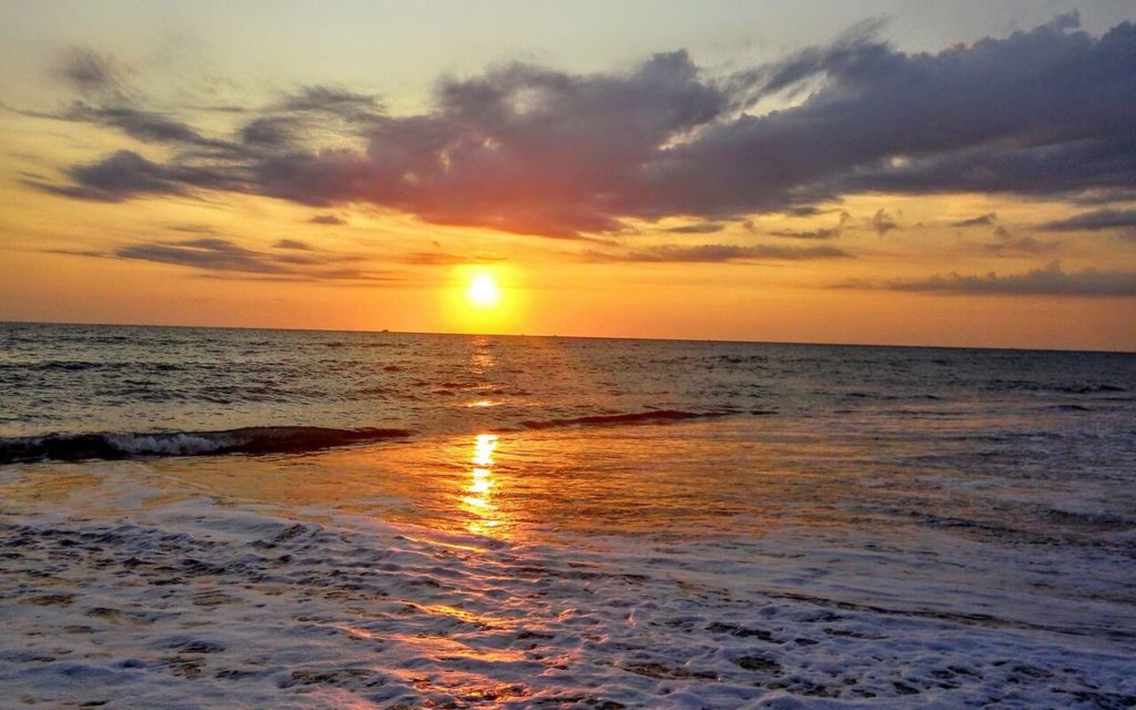 playa ceuta sinaloa fauna flora actividades