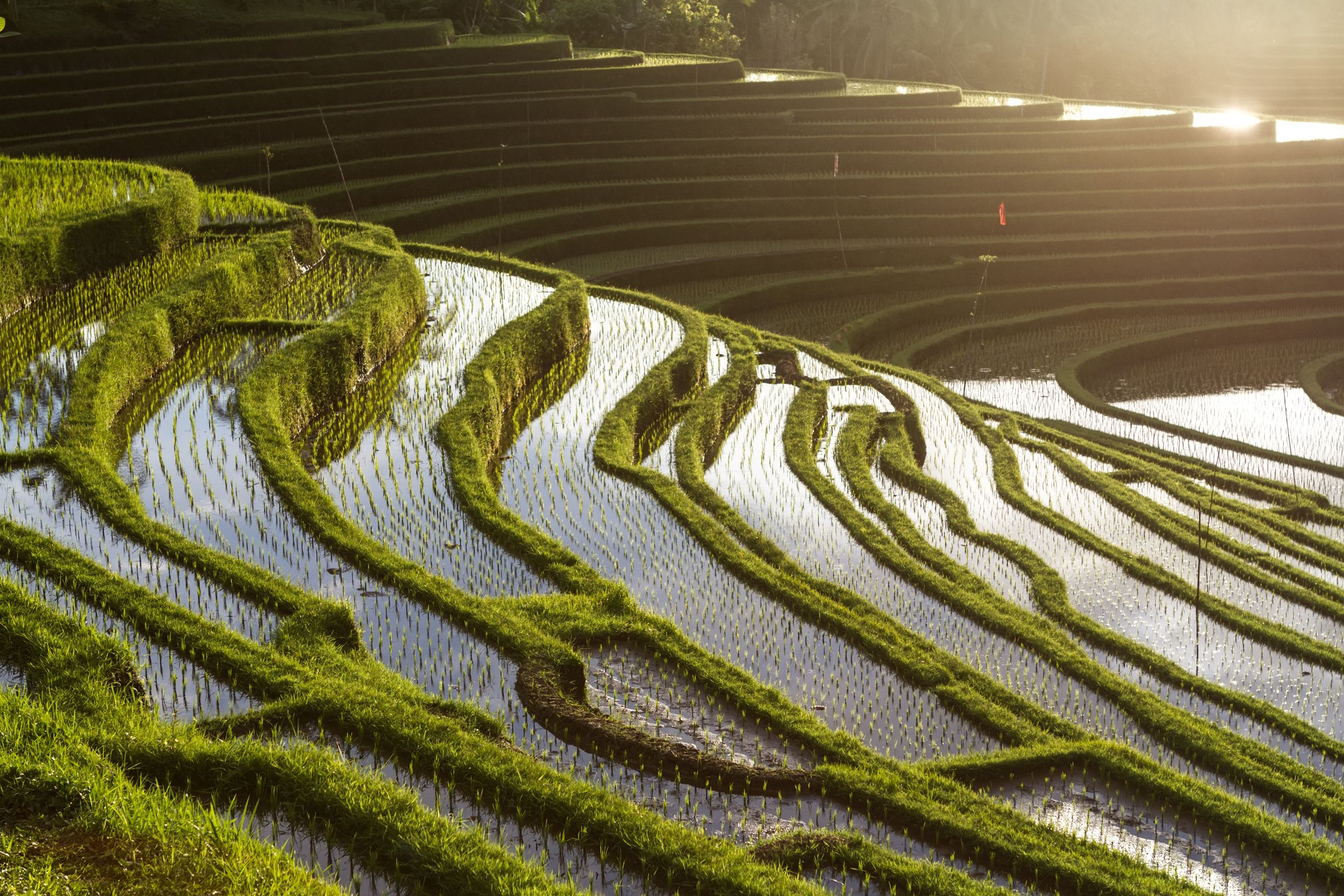 terrazas arroz de longsheng destinos exóticos