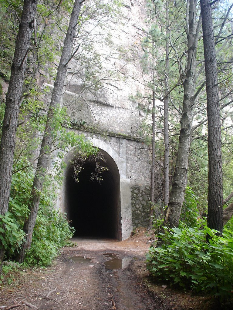 tuneles mexiquillo naturaleza rocas durango