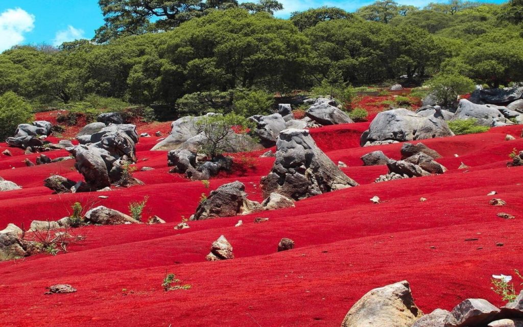 dunas de pacula hidalgo actividades ubicacion