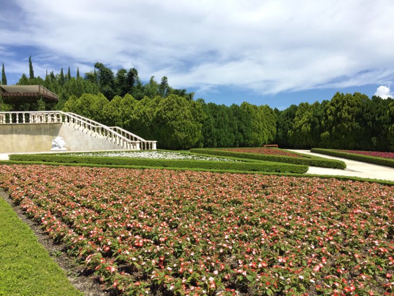 flores-jardines-de-méxico-tequesquitengo-morelos