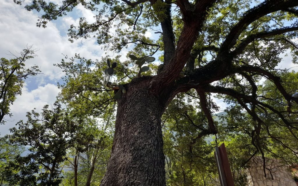 naturalez en parque natural la estanzuela