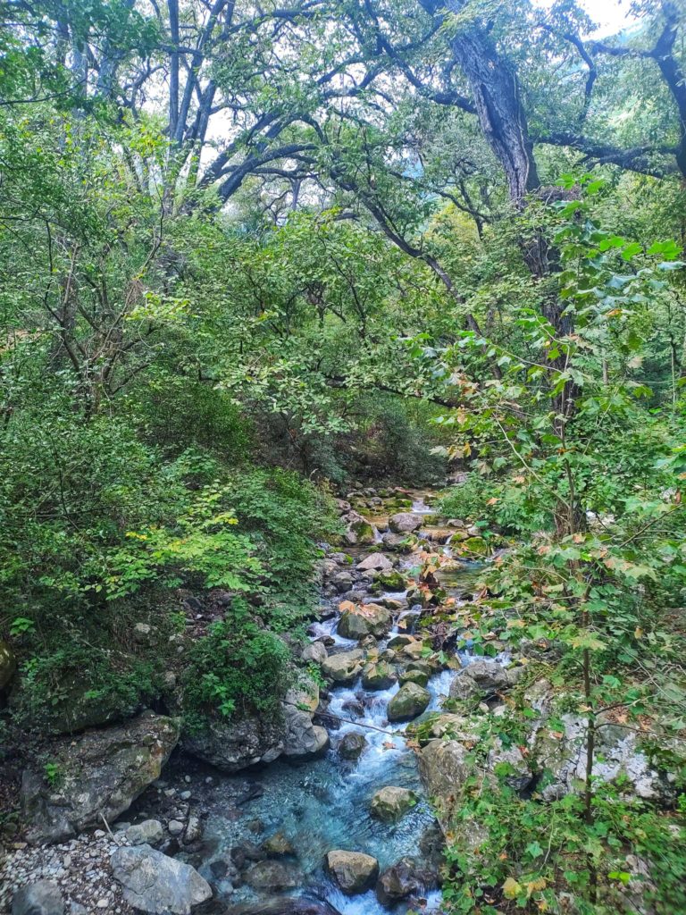 naturaleza-cascadas-rios-la-estanzuela-monterrey