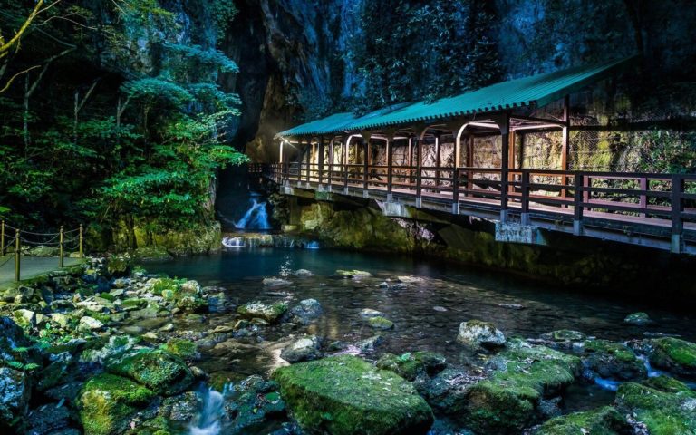 Parque Nacional Akiyoshidai: explora sus senderos y cavernas