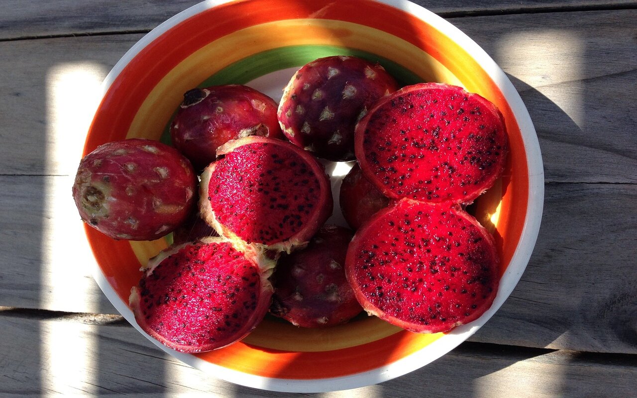 ¡Todo listo para la Feria de la Pitaya 2023 en Jalisco!