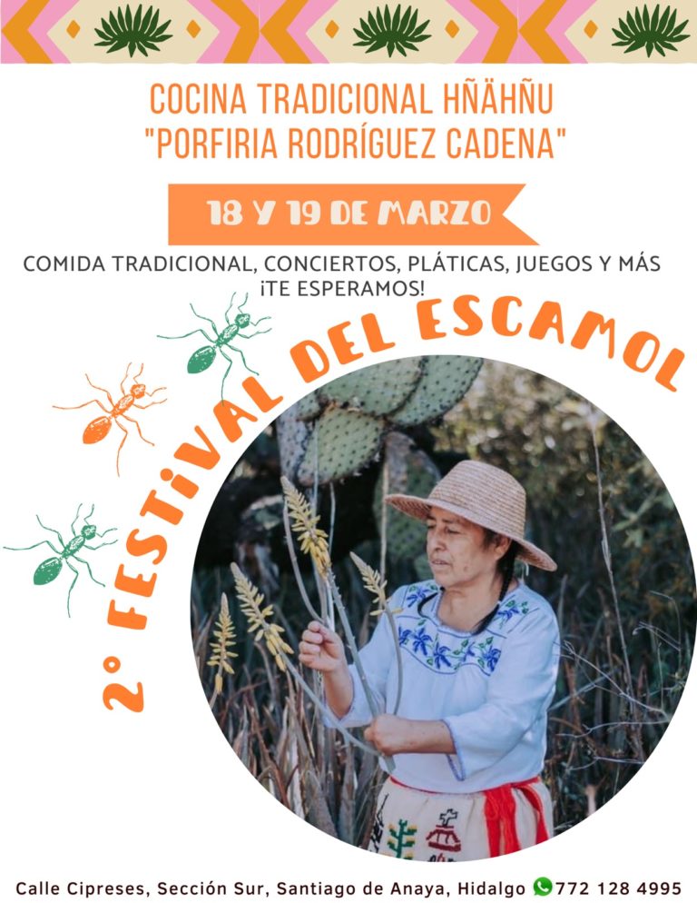 festival-del-escamol-hidalgo-promocion