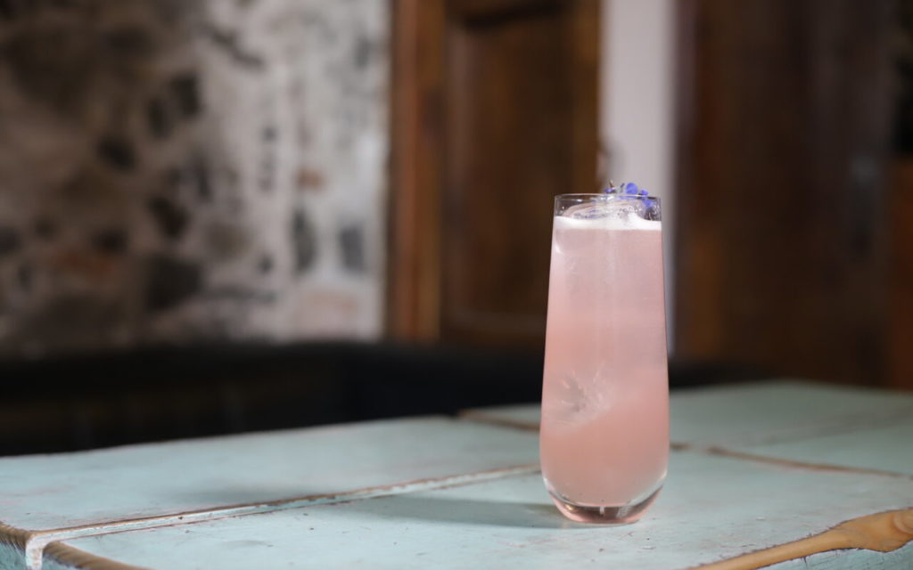 maizal cocina gastronomia mexicana bar herbario