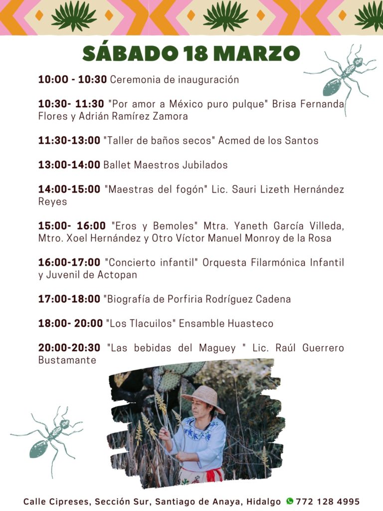 programa-domingo-festival-del-escamol-hidalgo