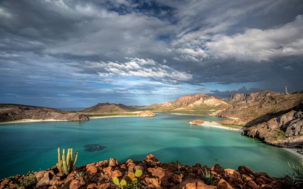 reserva de biosfera desierto el vizcaíno