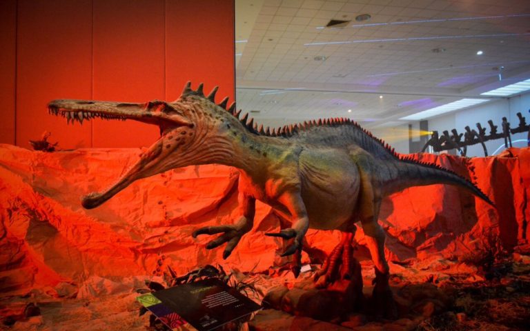 ¡Rawr! Visita el museo itinerante Tierra de Dinosaurios
