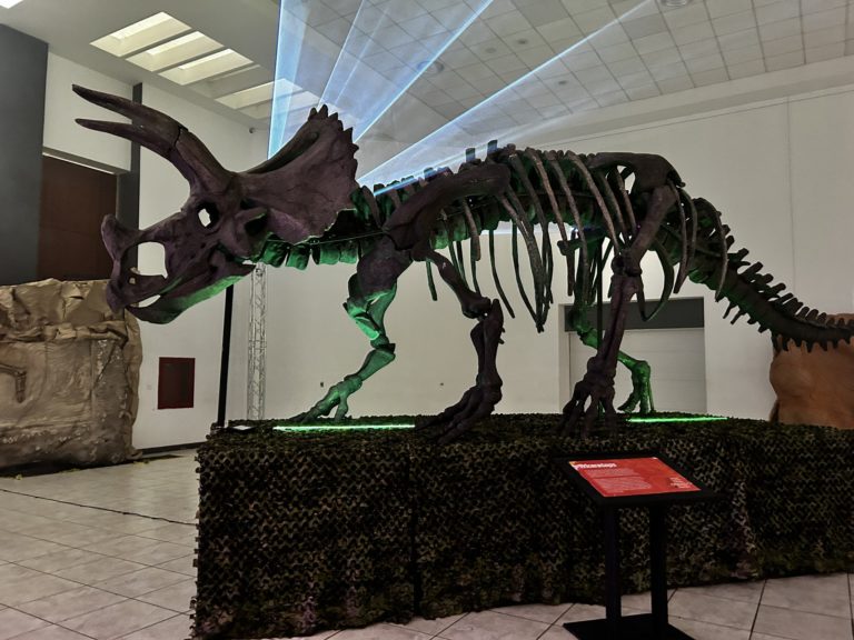 tlaxcala-museo-itinerante-tierra-de-dinosaurios