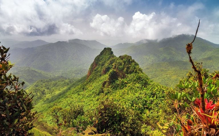 Bosque Nacional El Yunque: destino perfecto para sumergirte en la naturaleza