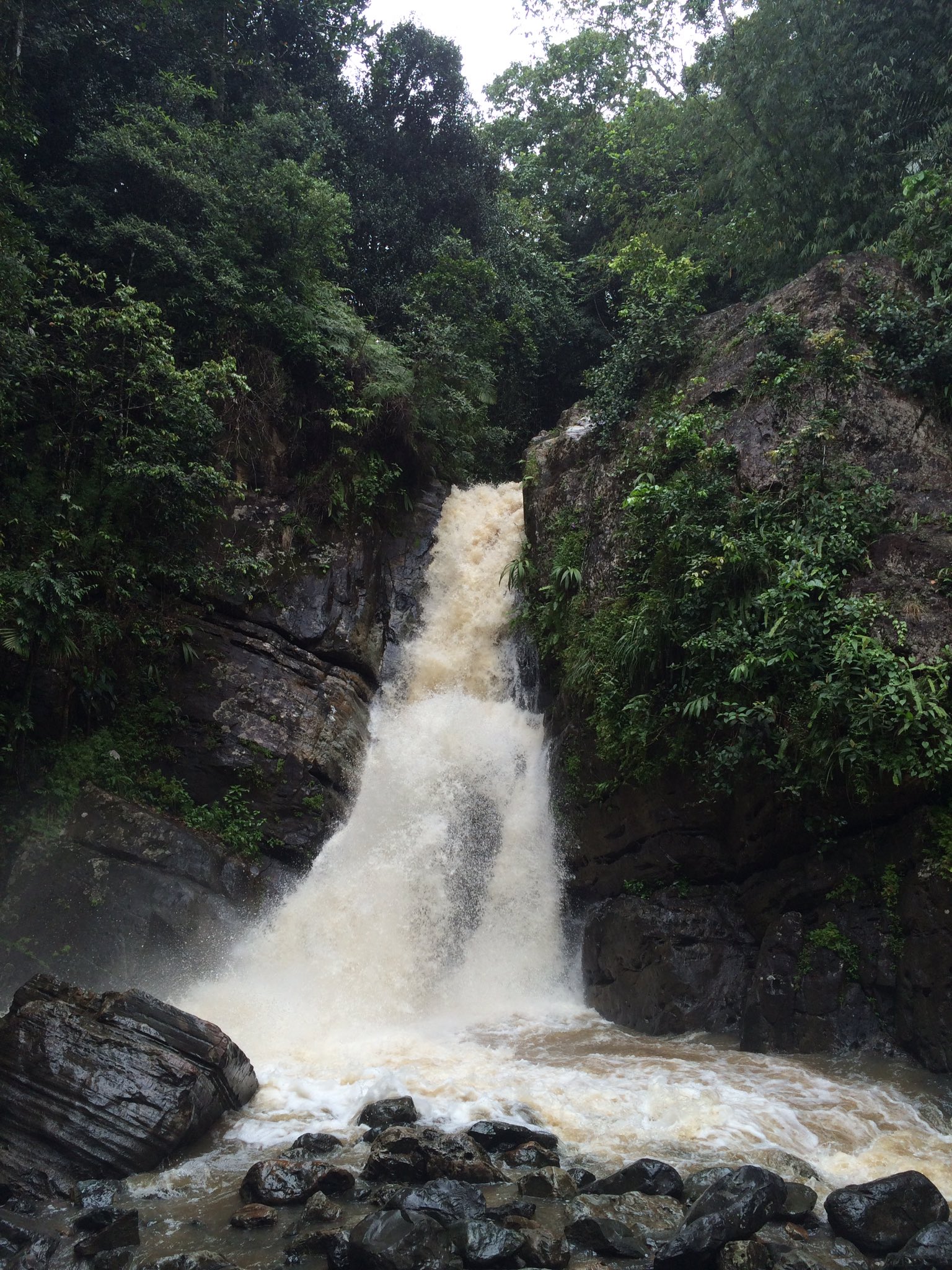 bosque nacional el yunque cascadas atractivos